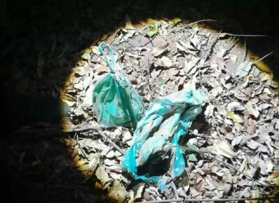 Imagem da notícia Casal confessa aborto com medicamento ilegal e enterro de feto em Três Lagoas
